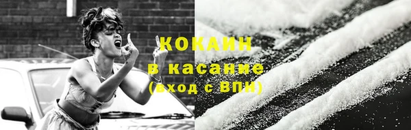 индика Михайловка
