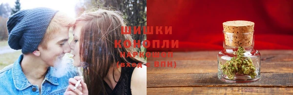 индика Михайловка