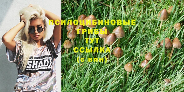 MESCALINE Михайлов