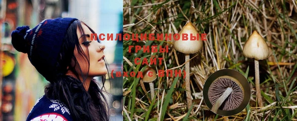 индика Михайловка
