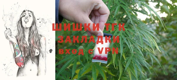 индика Михайловка