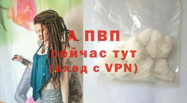 индика Михайловка