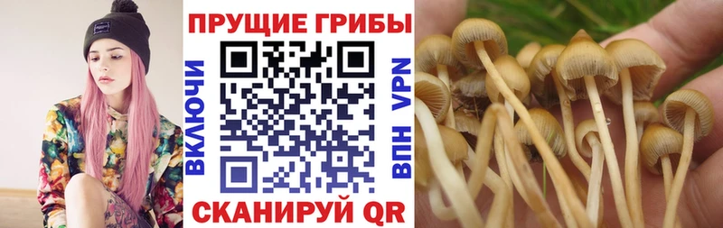 kraken ССЫЛКА  купить   Ершов  Галлюциногенные грибы прущие грибы 