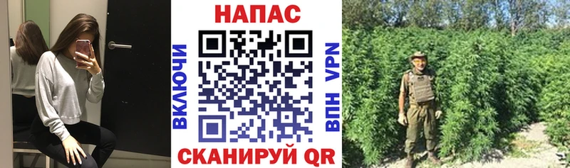 hydra tor  Ершов  Канабис марихуана 